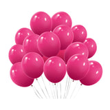 100 Pc Matte Berry Latex, Air or Water Balloons 5"