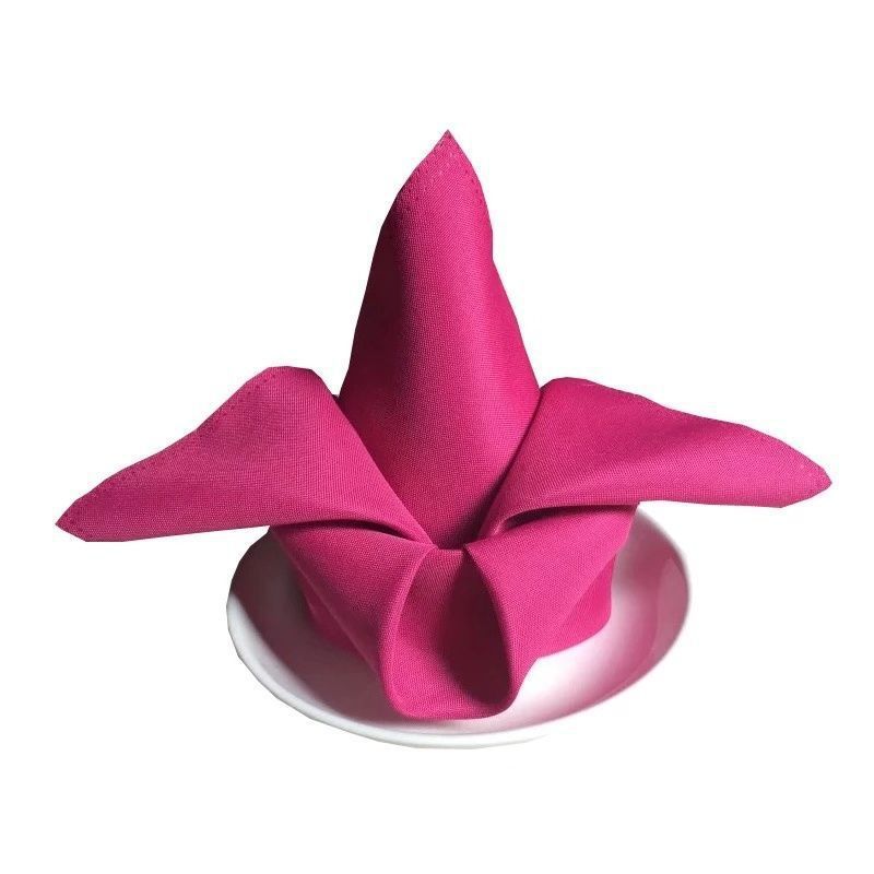 5 Pc Polyester Napkins 19"x19" Rose Red