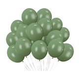 100 Pc Retro Avocado Green Latex, Air or Water Balloons 5"