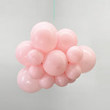 25 Pc Macaroon Pink Latex Helium, Air or Water Balloons 12"